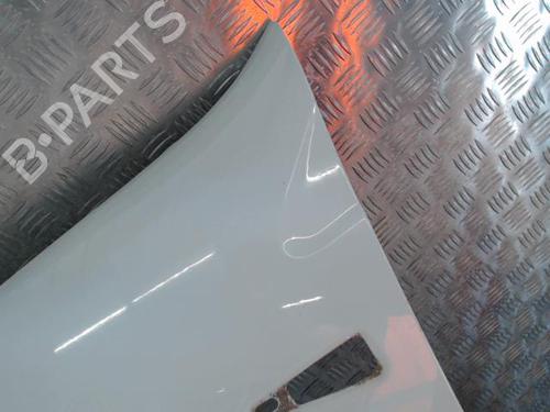 Left front fenders DACIA SANDERO 1.5 dCi | BP29530079C41 