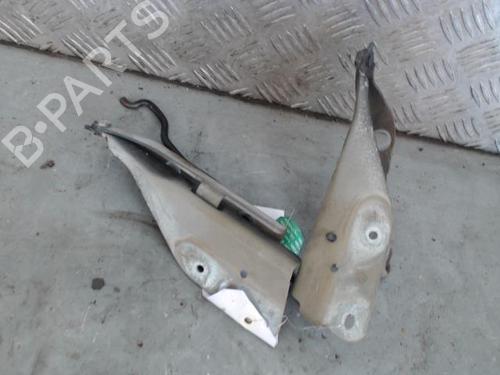 Hinge/Door check strap CITROËN C3 I (FC_, FN_) 1.4 HDi | BP26716884C146 