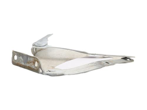 hingedoor-check-strap-dacia-sandero-ii-2012-37602092 main image