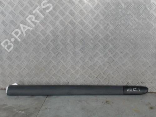 Dørlist RENAULT CLIO II (BB_, CB_) 1.5 dCi (B/CB07) (65 hp) 30466431