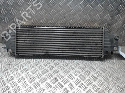 Used Intercooler NISSAN PRIMASTAR Van (X83) 1.9 dCi 100 (100 hp) 23049285