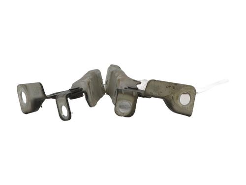 Hinge/Door check strap CITROËN C3 II (SC_) 1.4 HDi 70 (SC8HZC, SC8HR0, SC8HP4) | BP32393218C146