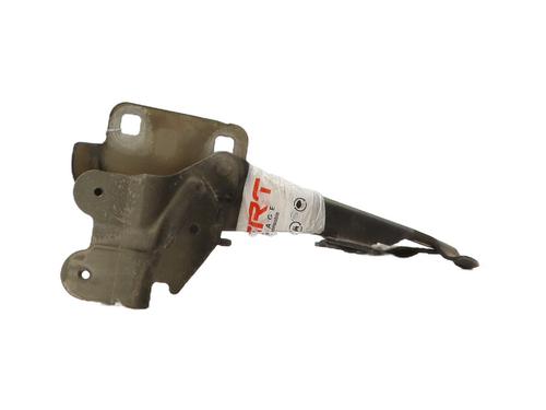 Used Hinge/Door check strap RENAULT LAGUNA II Grandtour (KG0/1_) 1.9 dCi (125 hp) 29323901