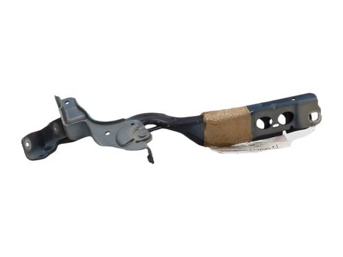 hingedoor-check-strap-citroen-c4-ii-nc_-2009-38766726 main image