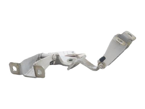 hingedoor-check-strap-renault-kangoo-express-fw01_-2008-39983067 main image