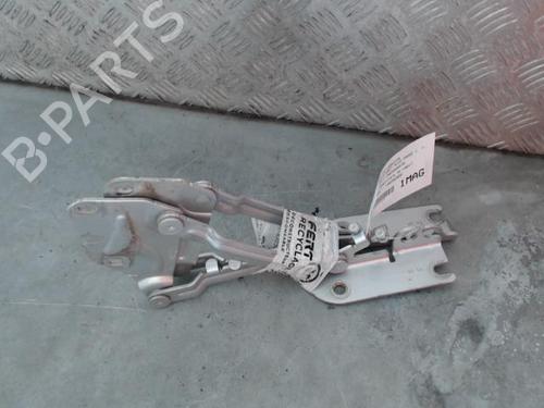 hingedoor-check-strap-vw-golf-plus-v-5m1-521-2004-2005-2006-2007-2008-2009-2010-2011-2012-2013-29253585 main image