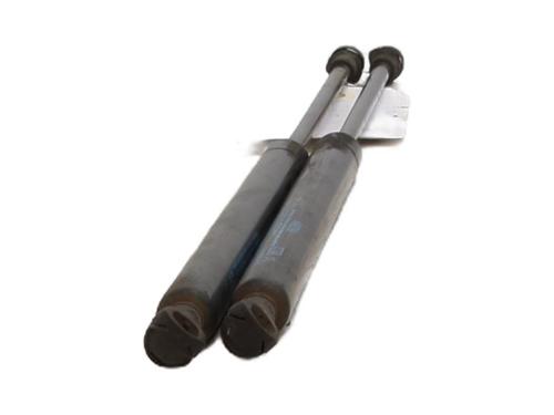 Tailgate lift support FIAT PANDA (169_) 1.2 (169.AXB11, 169.AXB1A) | BP27219929C138 