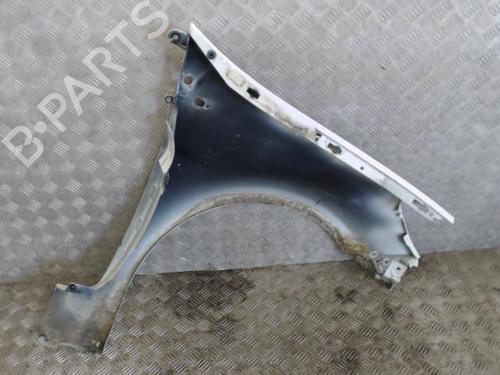 Left front fenders RENAULT CLIO III (BR0/1, CR0/1) 1.5 dCi (C/BR0G, C/BR1G) | BP26946442C41 