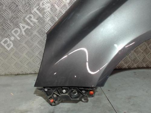 Left front fenders OPEL CORSA D (S07) 1.3 CDTI (L08, L68) | BP30592145C41 