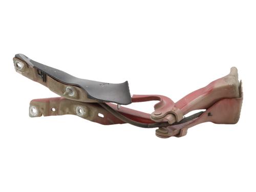 hingedoor-check-strap-peugeot-308-cc-4b_-2009-2010-2011-2012-2013-2014-2015-36762588 main image