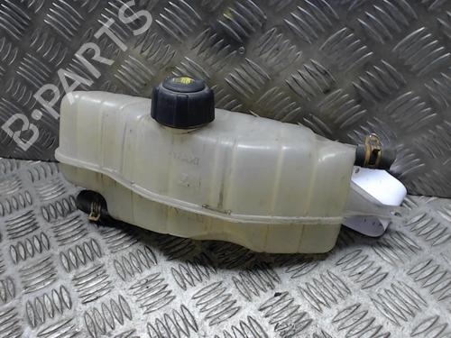 Used Expansion tank RENAULT CLIO III (BR0/1, CR0/1) 1.5 dCi (C/BR0G, C/BR1G) (68 hp) 23048604