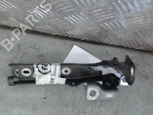 hingedoor-check-strap-citroen-c3-ii-sc_-2009-26583191 main image