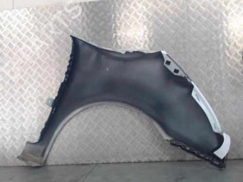Left front fenders CITROËN C4 Picasso I MPV (UD_) 1.6 HDi 110 | BP30046044C41 