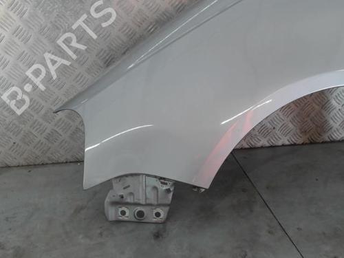 Left front fenders VW POLO IV (9N_, 9A_) 1.9 TDI | BP30115361C41