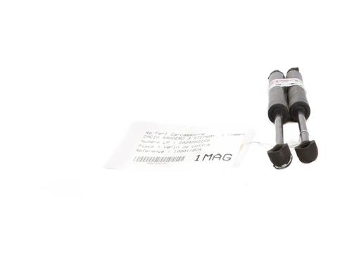 tailgate-lift-support-dacia-sandero-iii-2021-29315812 main image