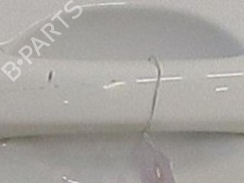 Dør højre fortil RENAULT CLIO V (B7_) 1.5 Blue dCi 85 (B7AG) | BP31051944C3 