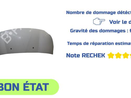Hood CITROËN C3 Picasso (SH_) 1.6 HDi | BP29563348C1 