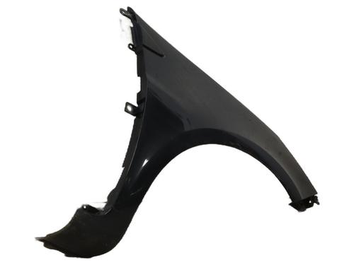 Right front fenders RENAULT CLIO III (BR0/1, CR0/1) 1.5 dCi (BR17, CR17) | BP25653067C42 