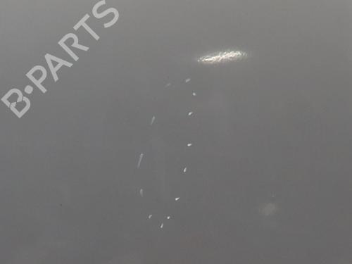 Hood VW POLO IV (9N_, 9A_) 1.9 TDI | BP30115367C1 