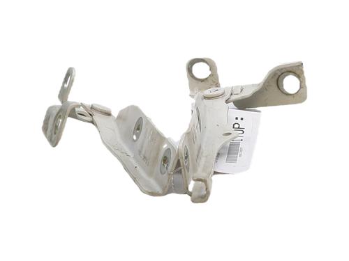 hingedoor-check-strap-citroen-c3-ii-sc_-2009-39703229 main image