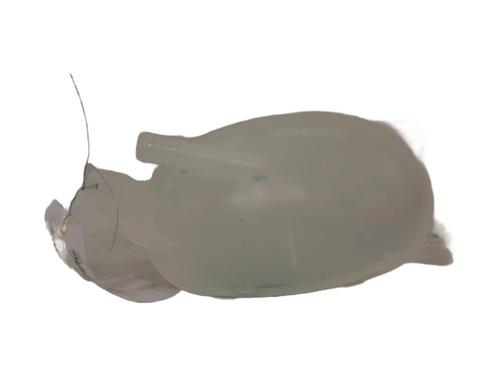 Expansion tank RENAULT EXPRESS Box Body/MPV  | BP23840310C120