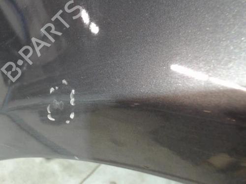 Left front fenders OPEL CORSA D (S07) 1.3 CDTI (L08, L68) | BP30592145C41 