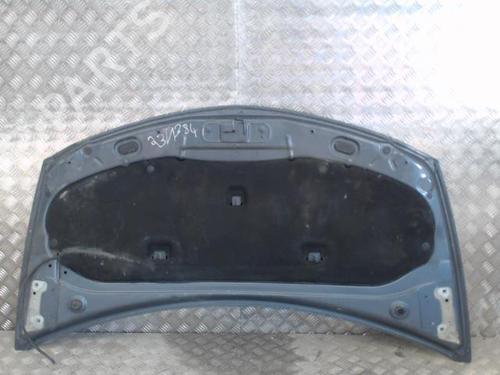 Hood RENAULT CLIO III (BR0/1, CR0/1) 1.5 dCi (BR17, CR17) | BP23049914C1 