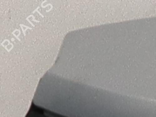 Tailgate RENAULT MEGANE II (BM0/1_, CM0/1_) 1.6 16V (BM0C, CM0C) | BP23839931C6 