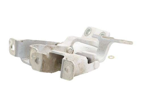 hingedoor-check-strap-renault-kangoo-express-fw01_-2008-38776525 main image