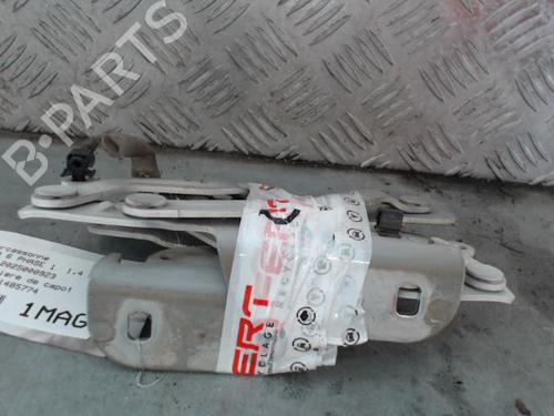 hingedoor-check-strap-ford-fiesta-vi-cb1-ccn-2008-28680535 main image