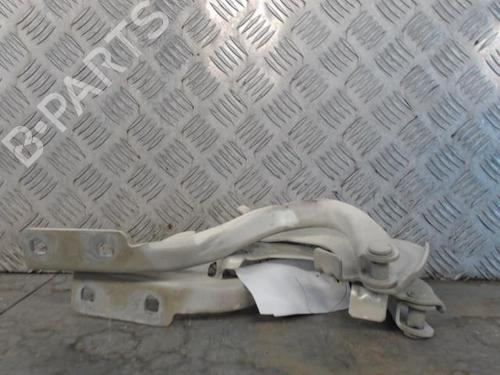 Hinge/Door check strap FIAT 500 (312_) 1.2 (312AXA1A) | BP29519760C146 