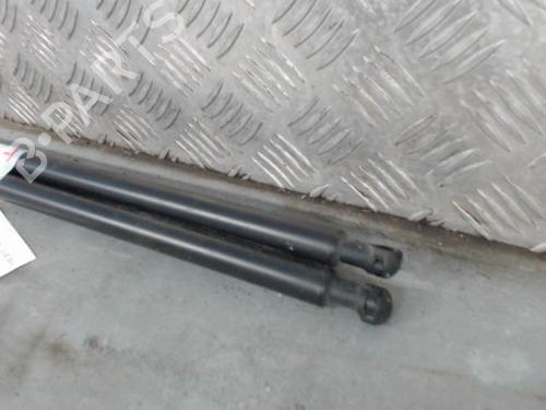 tailgate-lift-support-renault-kangoo-express-fw01_-2008-28451557 main image