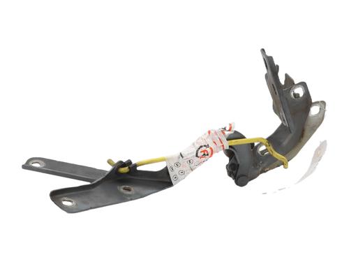 Used Hinge/Door check strap Hinge/Door check strap CITROËN C4 Grand Picasso I (UA_) 1.6 HDi (109 hp) 39245797 39245797