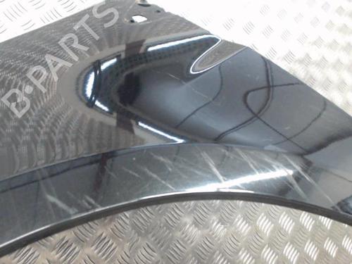 Left front fenders RENAULT CLIO III (BR0/1, CR0/1) 1.5 dCi (BR17, CR17) | BP23838623C41 