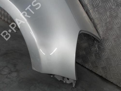 Right front fenders RENAULT CLIO III (BR0/1, CR0/1) 1.2 16V Hi-Flex (BR1U, CR1U) | BP28423391C42