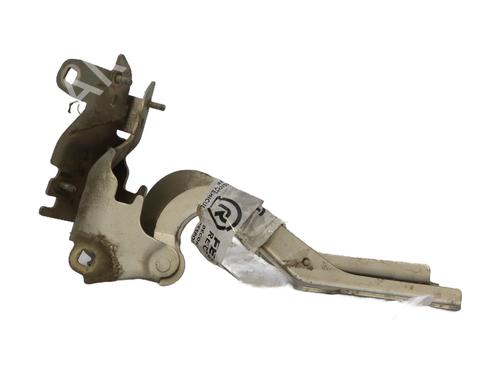 Used Hinge/Door check strap RENAULT LAGUNA III (BT0/1) 2.0 dCi (BT01, BT08, BT09, BT0E, BT0K, BT12, BT1C, BT1D,... (150 hp) 29142008