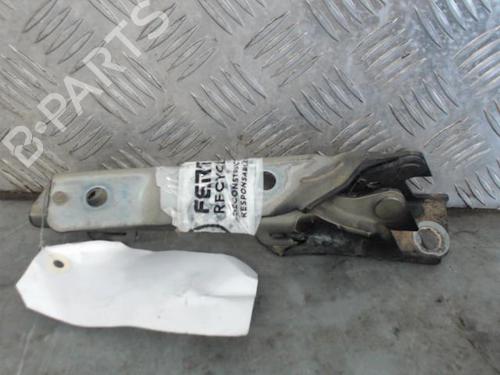 hingedoor-check-strap-citroen-c5-iii-rd_-2008-2009-2010-2011-2012-2013-2014-2015-2016-2017-27718023 main image