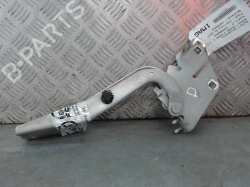 Used Hinge/Door check strap RENAULT MEGANE III Hatchback (BZ0/1_, B3_) 1.5 dCi (BZ0C) (90 hp) 26242226