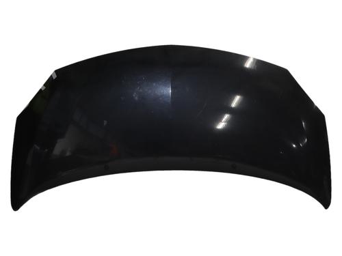 hood-renault-twingo-ii-cn0_-2007-36999626 main image