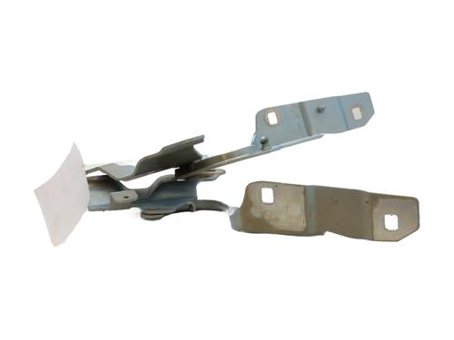 Hinge/Door check strap RENAULT ZOE (BFM_) ZOE | BP27883249C146 