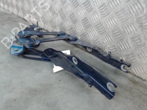 Hinge/Door check strap AUDI A1 (8X1, 8XK) 1.6 TDI | BP25593913C146