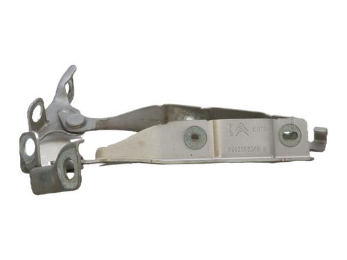 hingedoor-check-strap-citroen-c3-ii-sc_-2009-36322836 main image