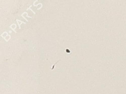 Fuel flap VW POLO V (6R1, 6C1) 1.2 | BP32060663C131 