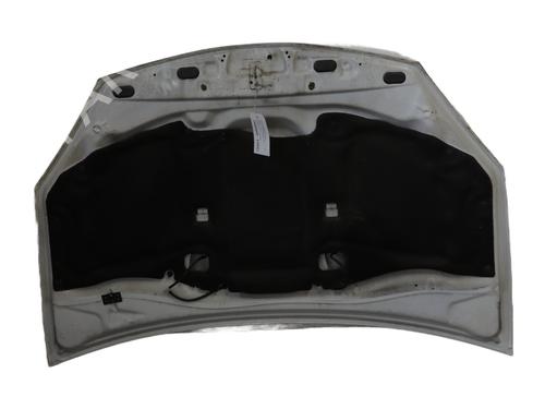 Hood DACIA SANDERO 1.5 dCi | BP29563349C1 