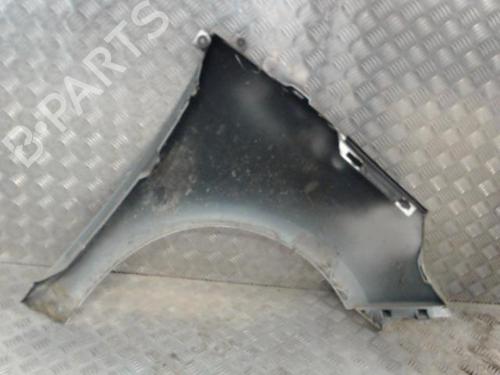 Left front fenders RENAULT SCÉNIC III (JZ0/1_) 1.5 dCi | BP23051925C41 