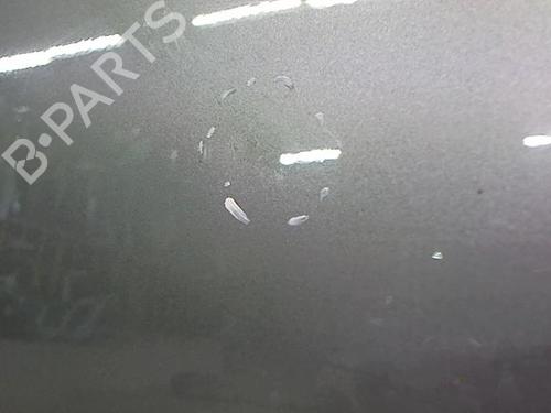 Right front door AUDI A4 B7 (8EC) 2.0 TDI 16V | BP23839619C3 