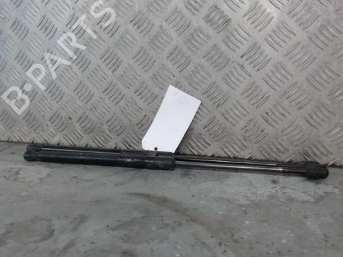 Used Tailgate lift support RENAULT MEGANE III Grandtour (KZ0/1) 1.5 dCi (KZ09, KZ0D, KZ1G, KZ29, KZ14, KZ1W, KZ10, KZ1F,... (110 hp) 26733144