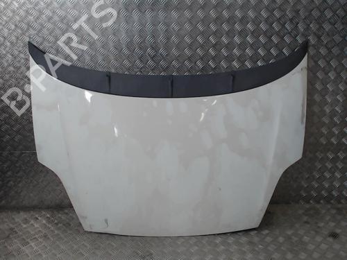 Used Hood FIAT GRANDE PUNTO (199_) 1.3 D Multijet (75 hp) 23837166