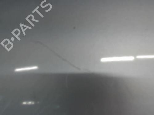 Left front fenders RENAULT SCÉNIC III (JZ0/1_) 1.5 dCi | BP23051925C41 
