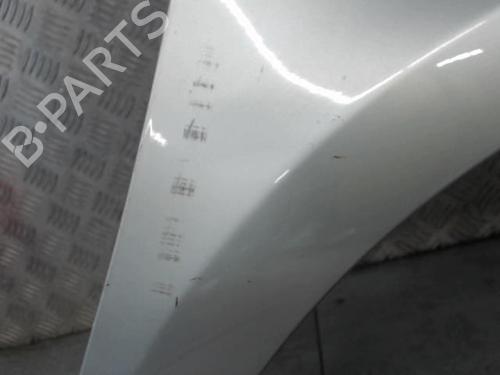 Right front fenders RENAULT CLIO III (BR0/1, CR0/1) 1.2 16V Hi-Flex (BR1U, CR1U) | BP28423391C42